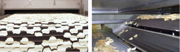 Линия для изготовления чипсов Reading Bakery Systems (США)